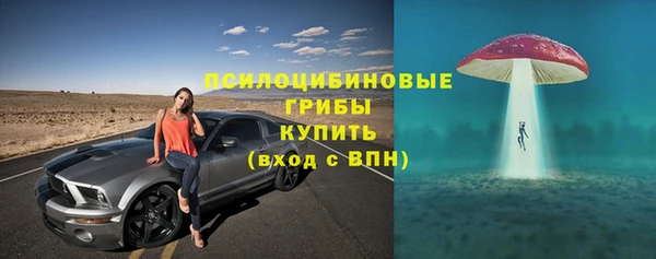 ECSTASY Белокуриха