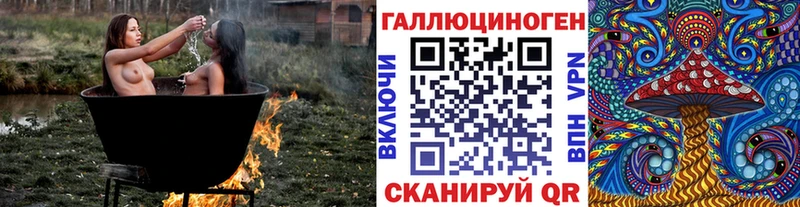 blacksprut рабочий сайт  Елизово  маркетплейс какой сайт  Псилоцибиновые грибы GOLDEN TEACHER 